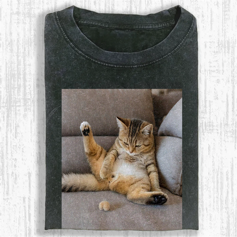 The Lost Testicles Washed T-shirt