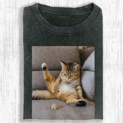 The Lost Testicles Washed T-shirt