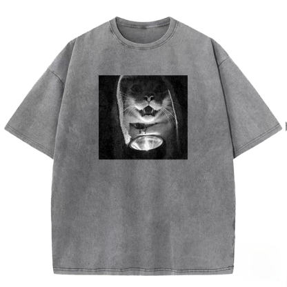 Mystery Lantern Cat Washed T-shirt
