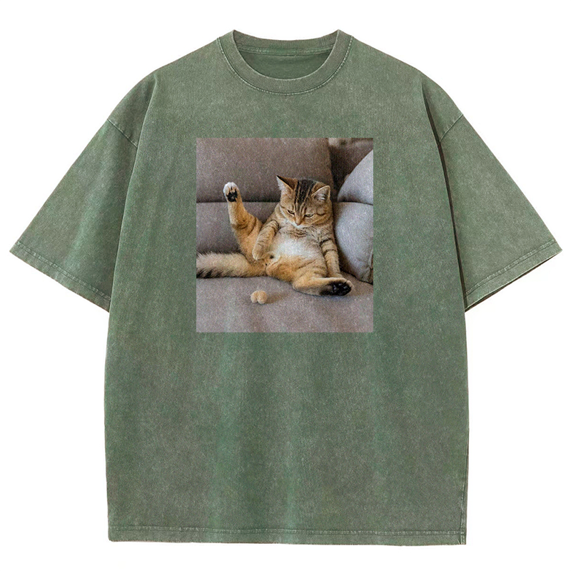 The Lost Testicles Washed T-shirt