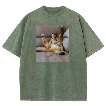 The Lost Testicles Washed T-shirt