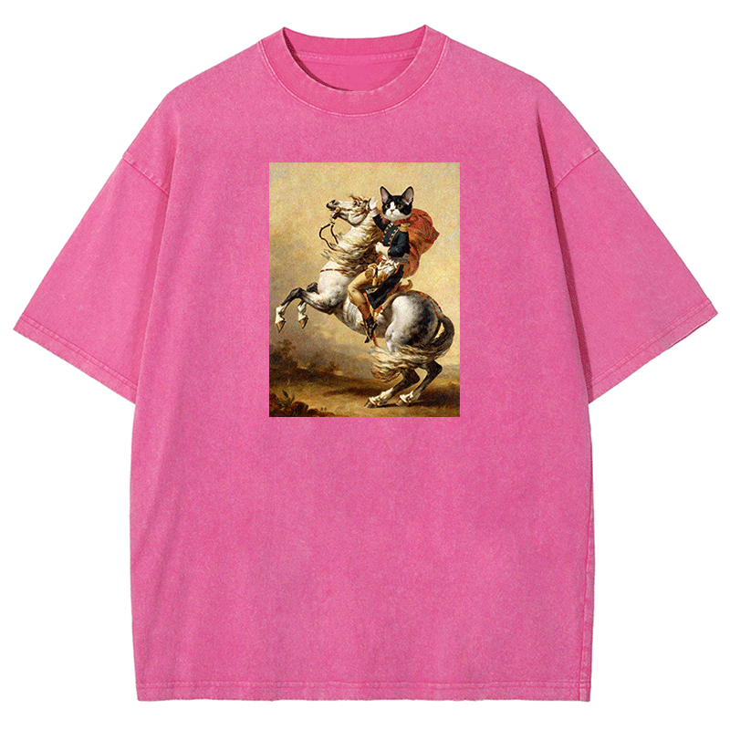 Napoleon Meow Washed T-shirt