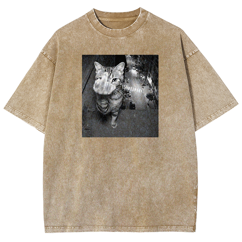 Surveillance Kitty Washed T-shirt