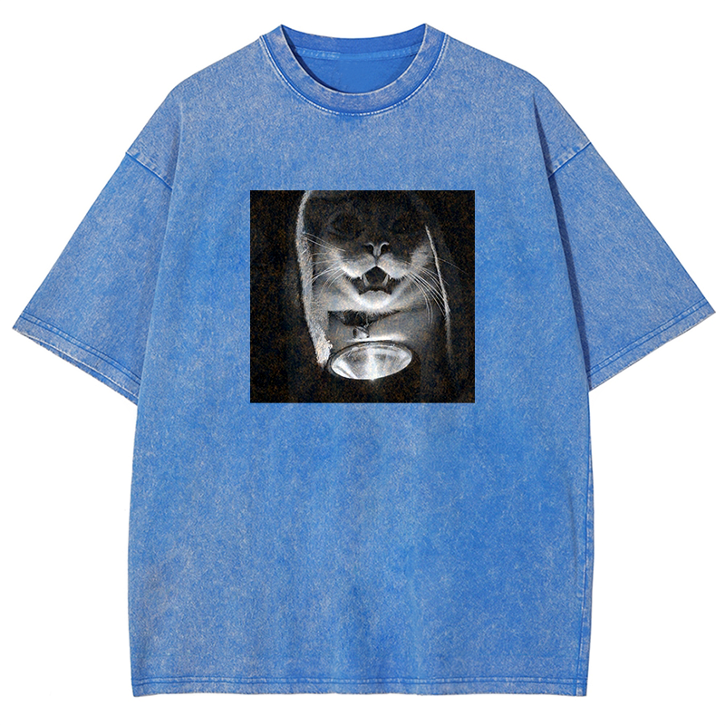 Mystery Lantern Cat Washed T-shirt