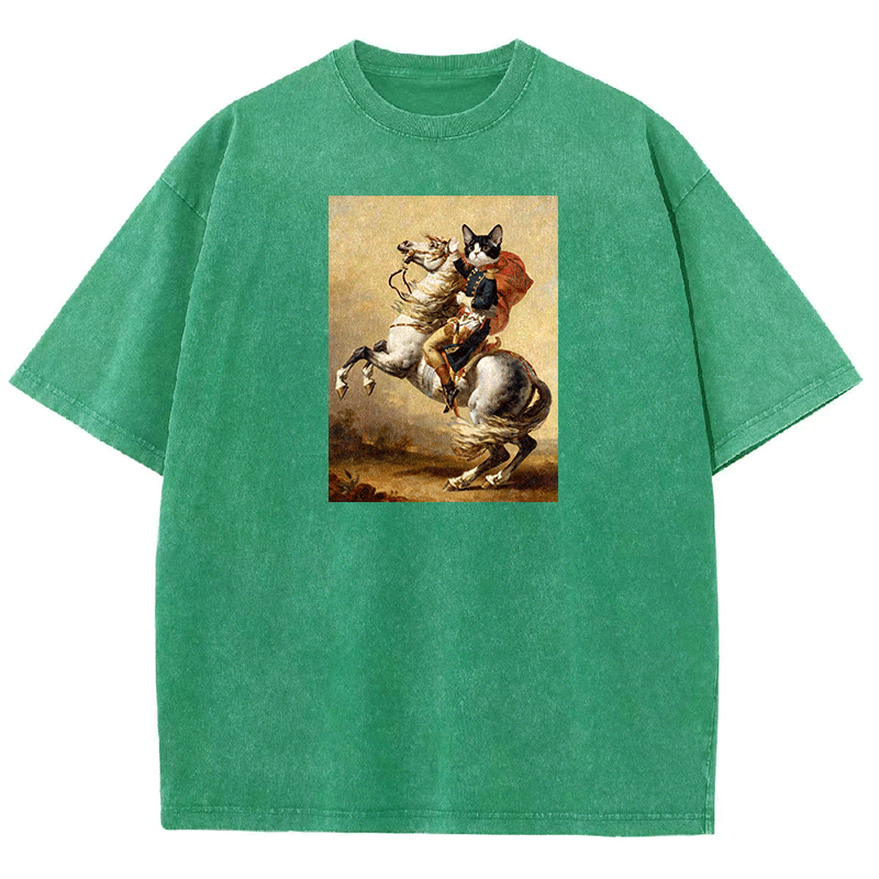 Napoleon Meow Washed T-shirt