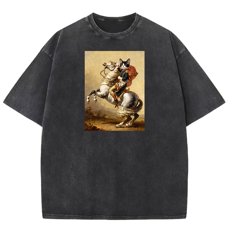 Napoleon Meow Washed T-shirt