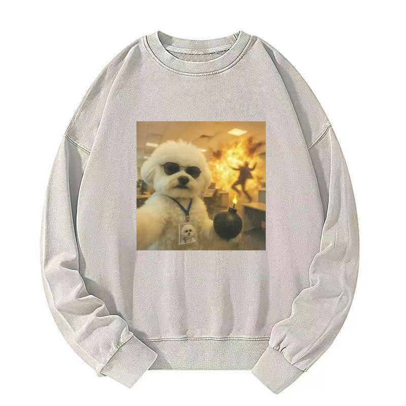 Wacky Dog Washed Sweatshirt