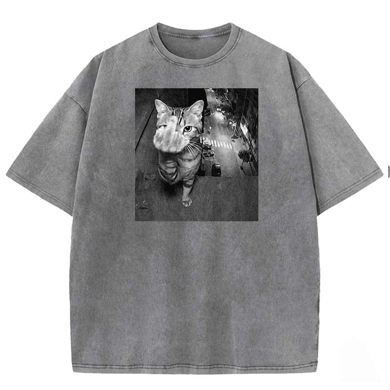 Surveillance Kitty Washed T-shirt