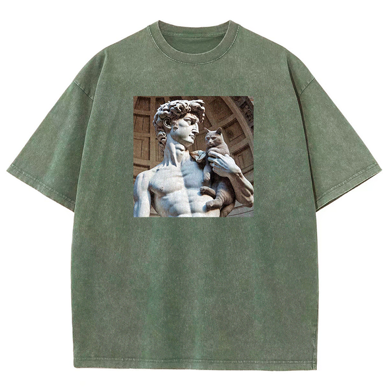 David's Companion Washed T-shirt