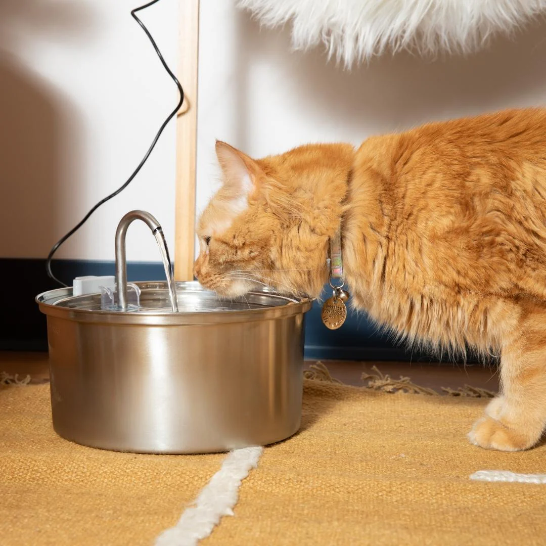 😻😻KittySpout™ Vezeték nélküli Itató - Egészséges és Boldog Macska Készlet
