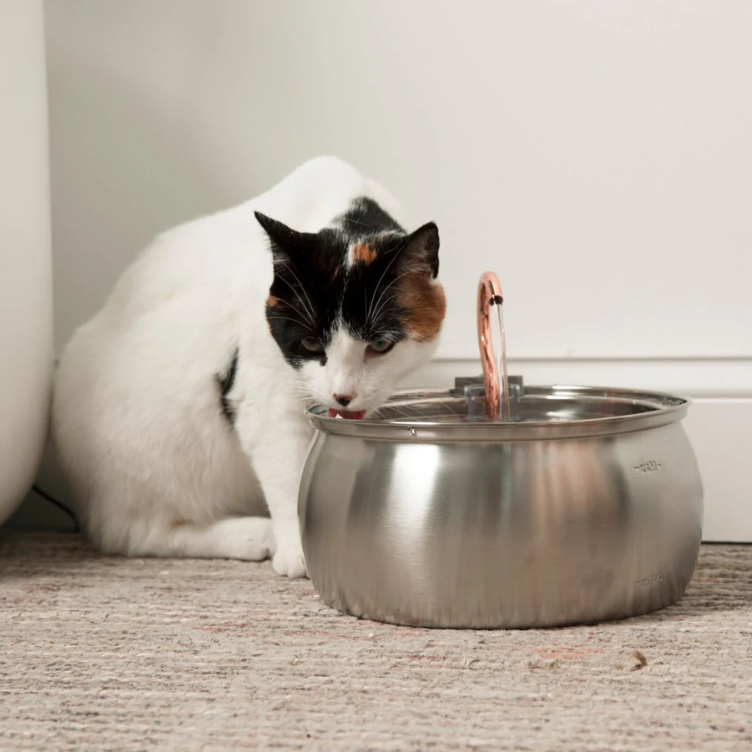 😻😻KittySpout™ Vezeték nélküli Itató - Egészséges és Boldog Macska Készlet