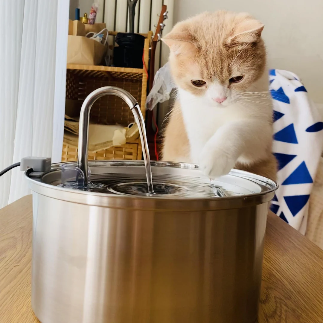 😻😻KittySpout™ Vezeték nélküli Itató - Egészséges és Boldog Macska Készlet