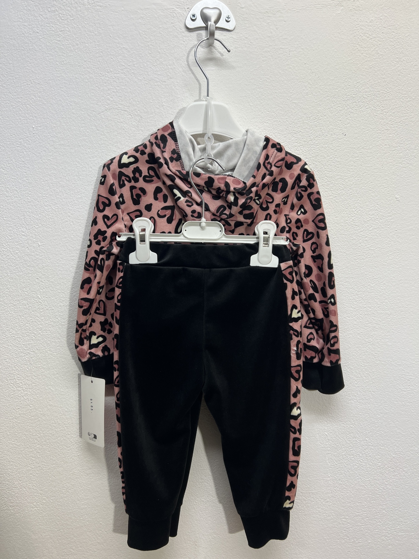 8383 | Tuta leopardata 