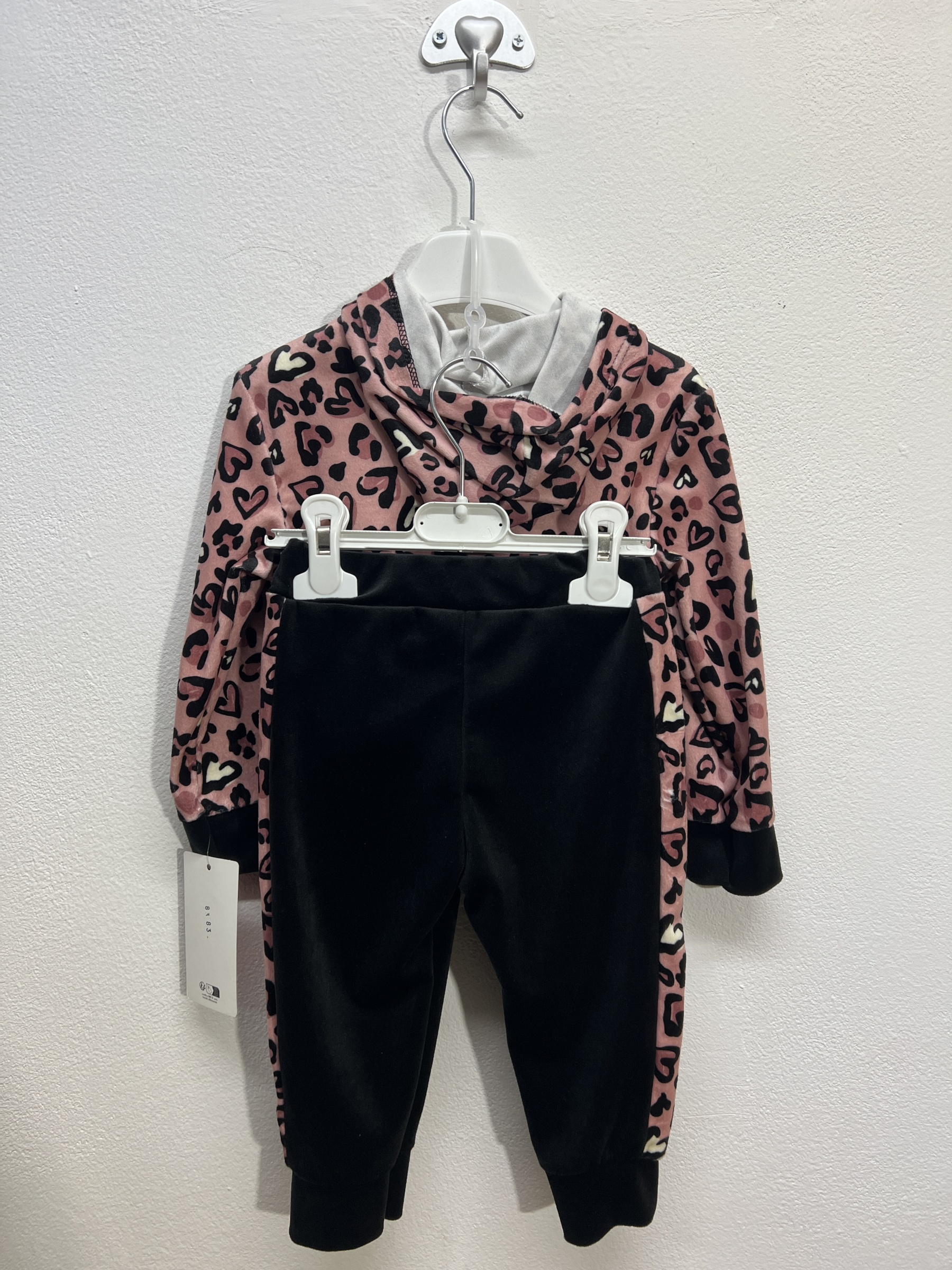 8383 | Tuta leopardata 