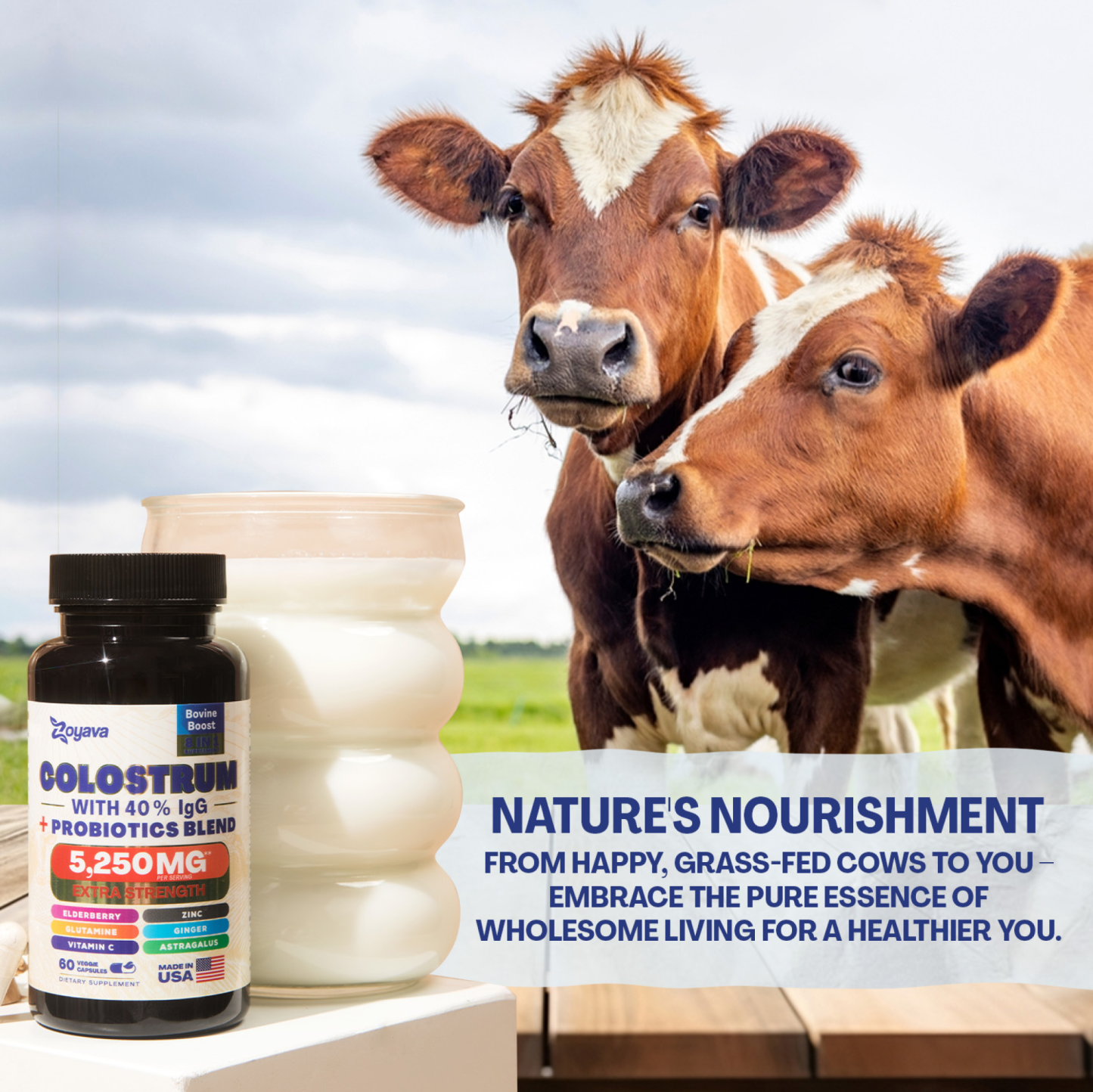 Zoyava™ Highly Potent Bovine Colostrum Capsules - 5250 MG with 40% IgG & Probiotics for Immunity, Gut Health, and General Wellness