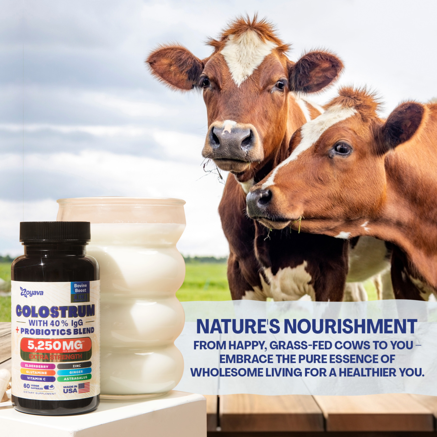 Zoyava™ Highly Potent Bovine Colostrum Capsules - 5250 MG with 40% IgG & Probiotics for Immunity, Gut Health, and General Wellness