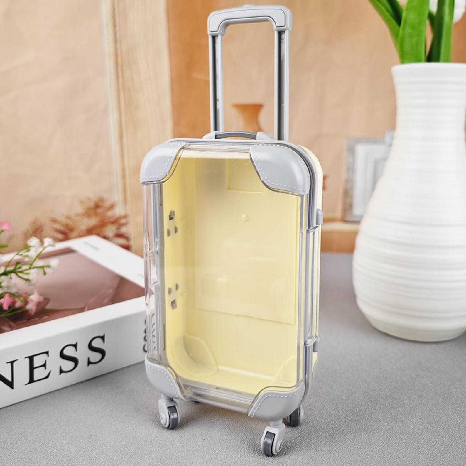 Mini Suitcase Hangover Organizer