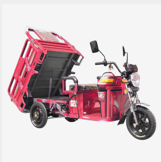 💖Last Day Clearance Sale💥 - Heavy Electric Cargo MAX ETRIKE