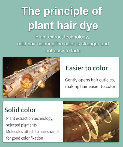 Pure plant fruit oil hair dye cream