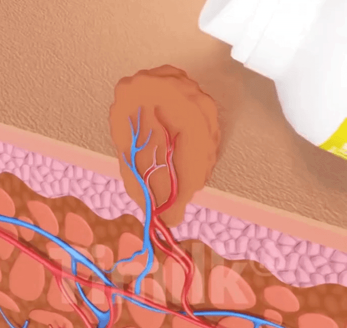 Honeycam 2025-12-25 18-30-56.gif