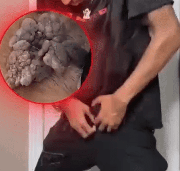 Honeycam 2025-12-25 18-23-41.gif