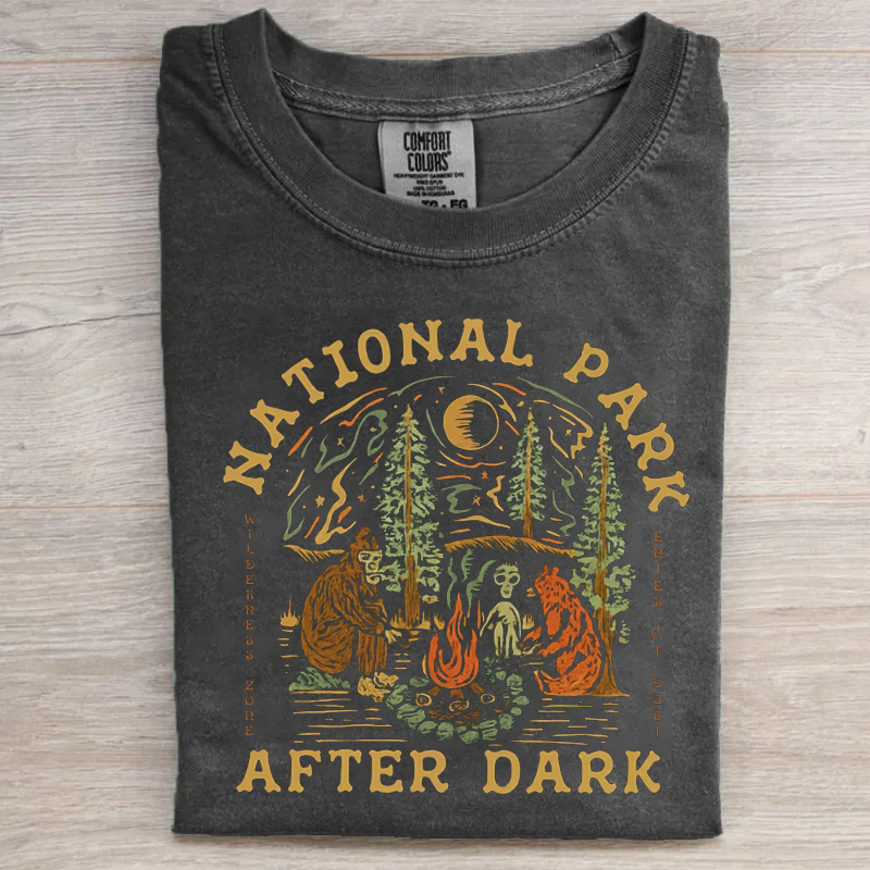 National Park After Dark T-shirt