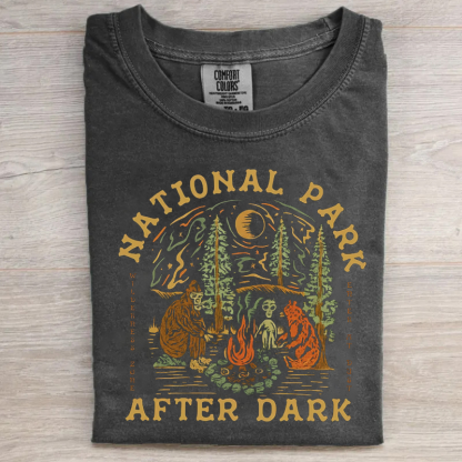 National Park After Dark T-shirt