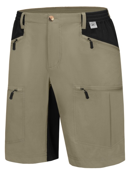 Men's Quick Dry Hiking Shorts