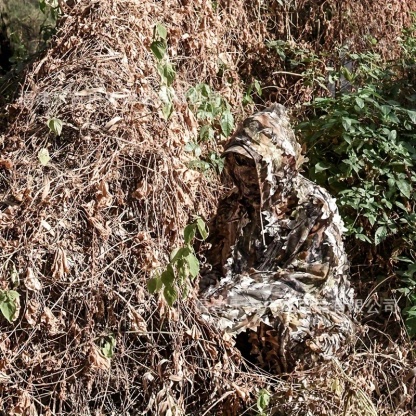 3D Leaf Camouflage Hunting Zippered Jacket & Pants