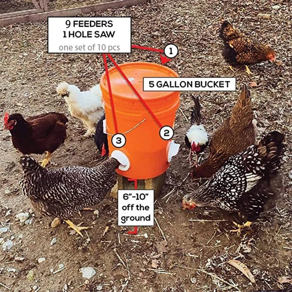 (🔥2023 New Year Hot Sale 30% OFF)DIY Chicken Feeder