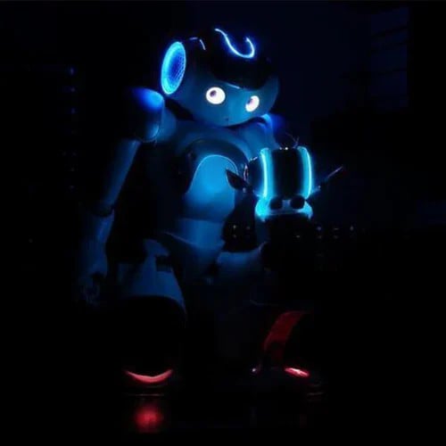 🔥 HOT SALE-50% OFF 🎁Gesture Sensing Smart Robot-🚀