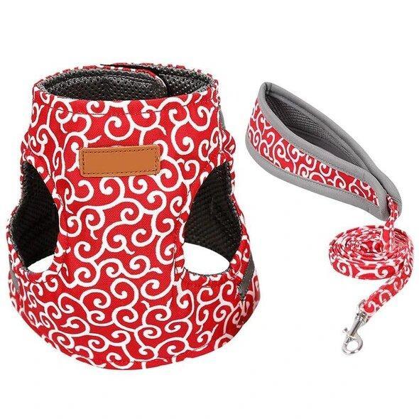 LAST DAY SALE-49% OFF-Cat Dogs Vest Harness and Leash Anti-break Away