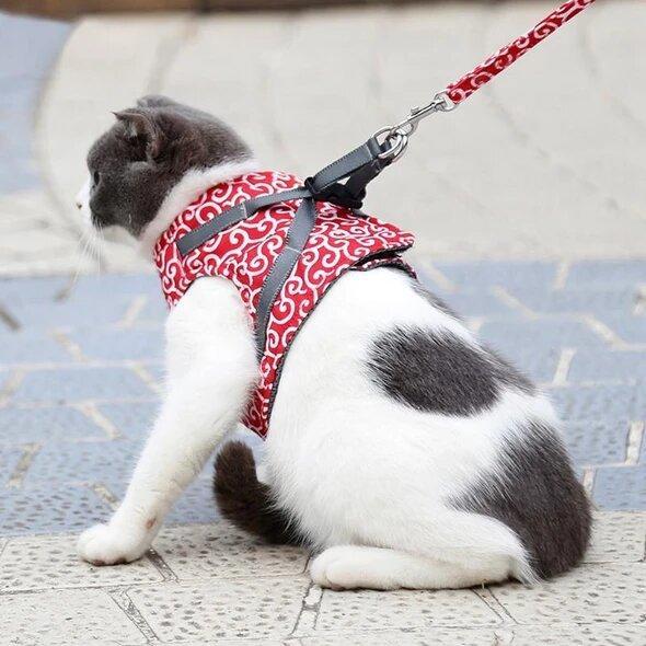 LAST DAY SALE-49% OFF-Cat Dogs Vest Harness and Leash Anti-break Away