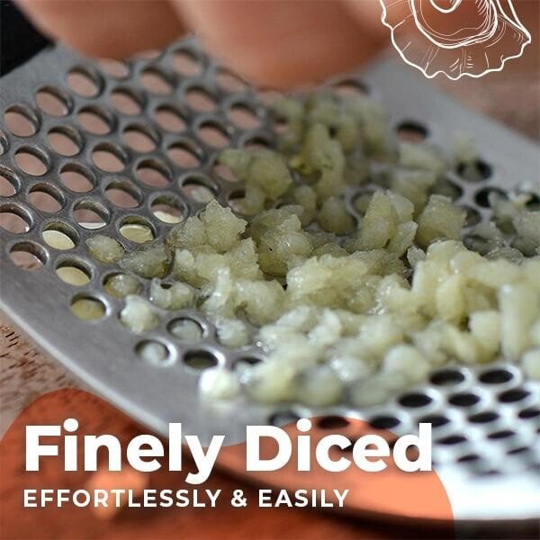 (Summer Hot Sale - Special Offer Now) Stainless Steel Garlic Presser 🍛BUY 1 GET 1 FREE NOW🍛