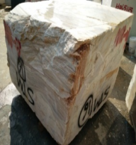 VX18-15 - Kyknos - White - Blocks