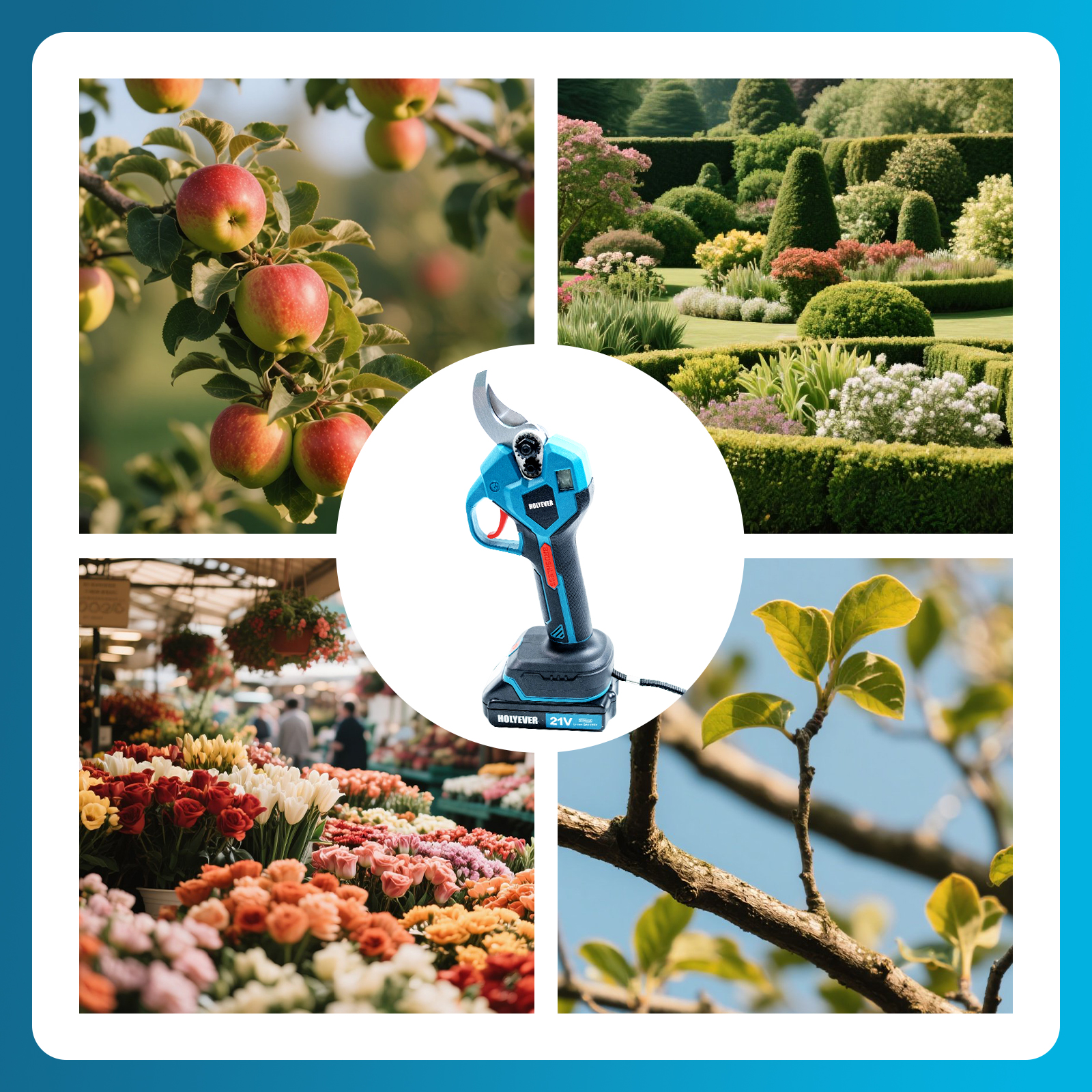 HOLYEVER Branch Scissors-Holyever