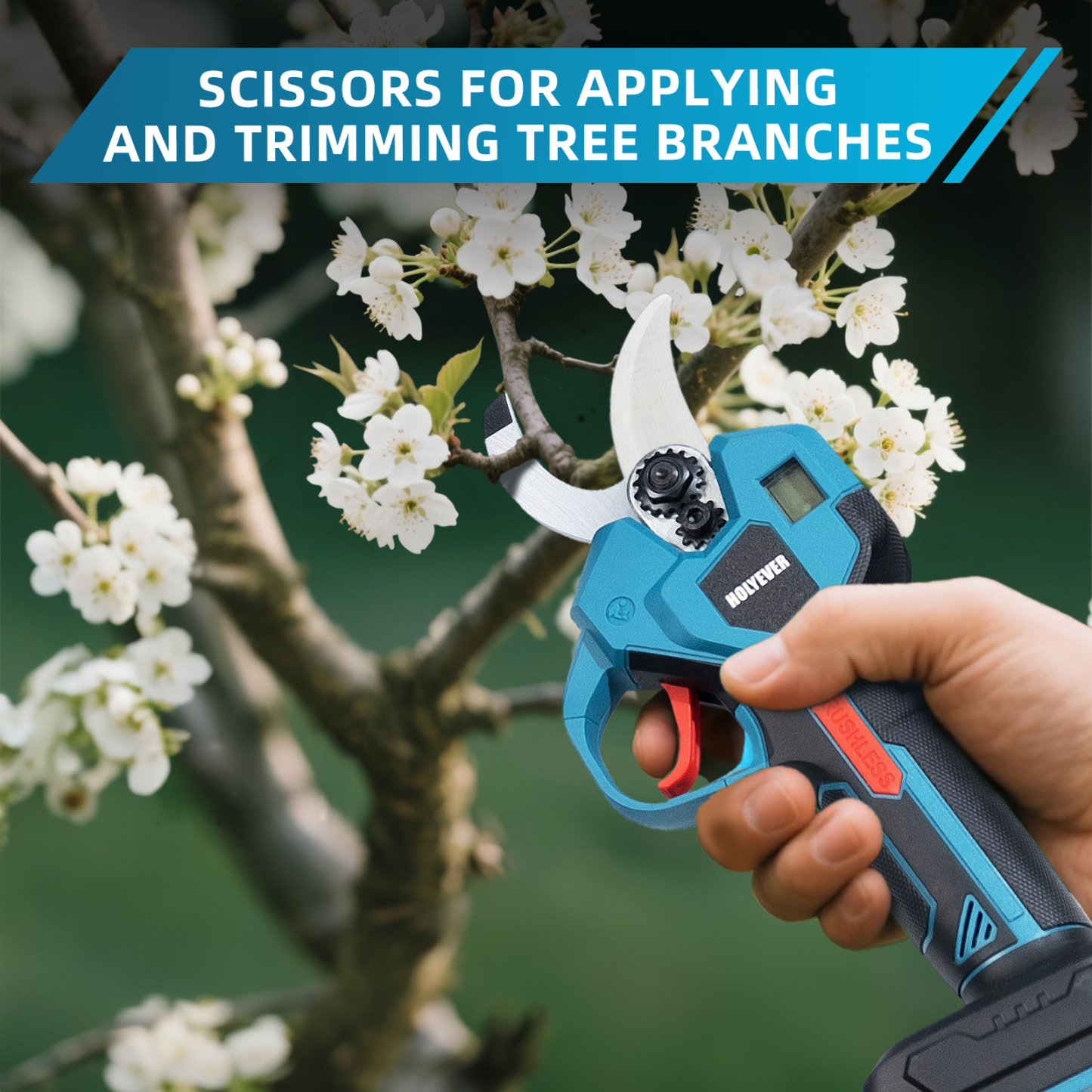 HOLYEVER Branch Scissors-Holyever