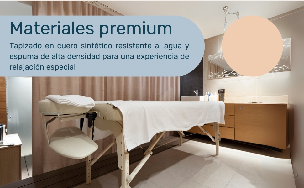 Cama Masaje Camilla Plegable Reclinable Portatil Fisioterapia Faciales Tatuaje Tattoo Ligera SPA 