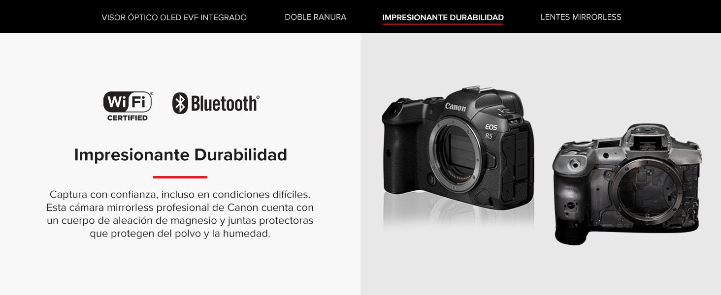 EOS R5 RF 24-105mm 