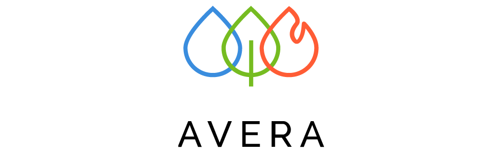 AVERA Parrilla de Gas 4 Quemadores 58.5cm Acero Inoxidable Negro