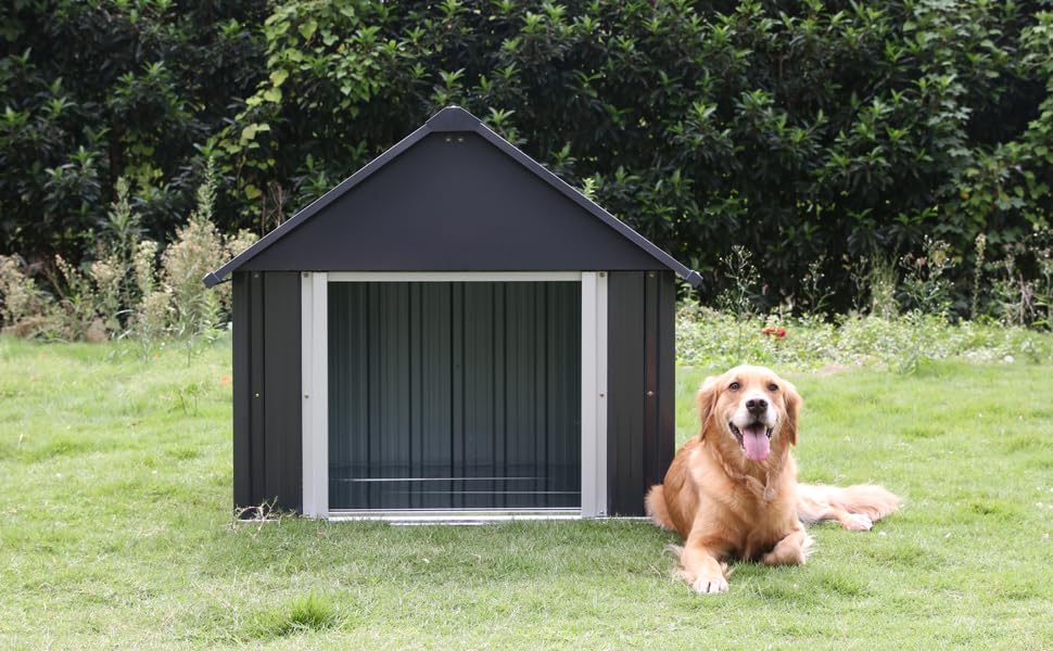 Casa de perrera para perros de patio trasero