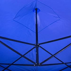 carpa transparente