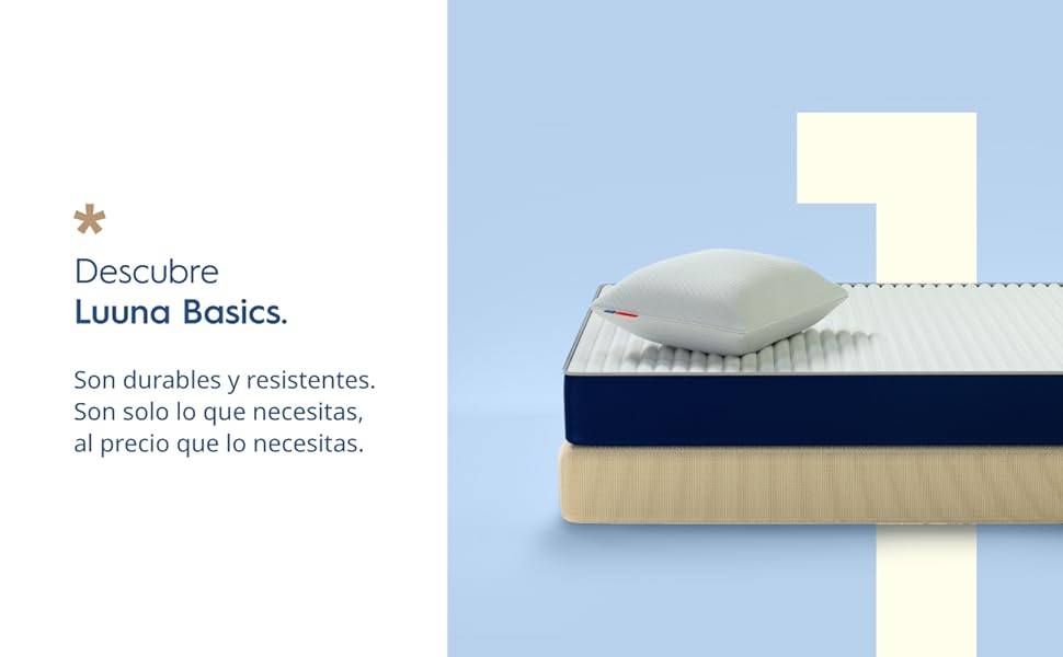 Descubre