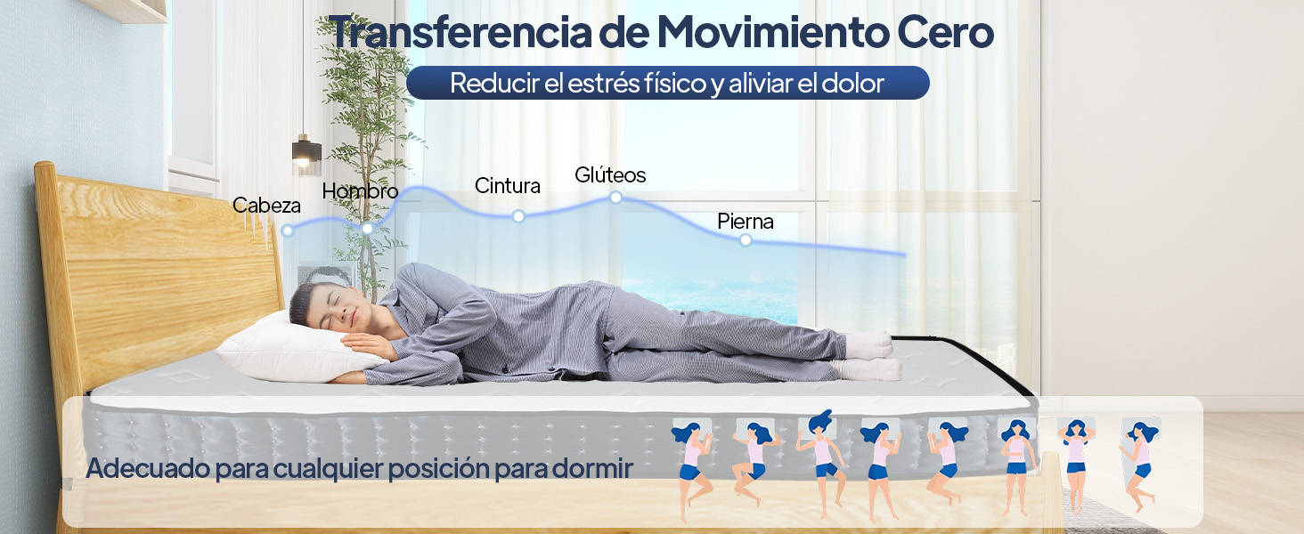 Transferencia de Movimiento Cero