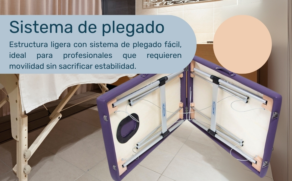 Cama Masaje Camilla Plegable Reclinable Portatil Fisioterapia Faciales Tatuaje Tattoo Ligera SPA 