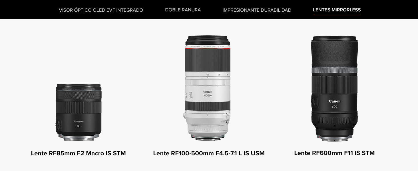 EOS R5 RF 24-105mm 