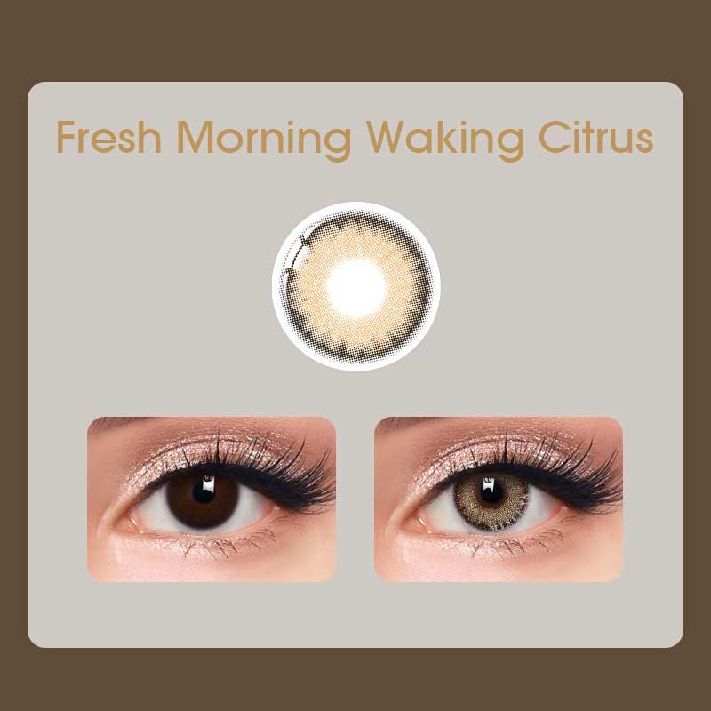 Mislens Fresh Morning Waking Citrus color contact Lenses for dark brown eyes