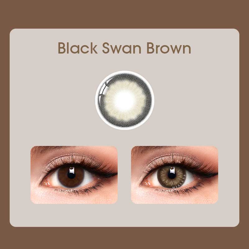 Mislens Black Swan Brown color contact Lenses for dark brown eyes