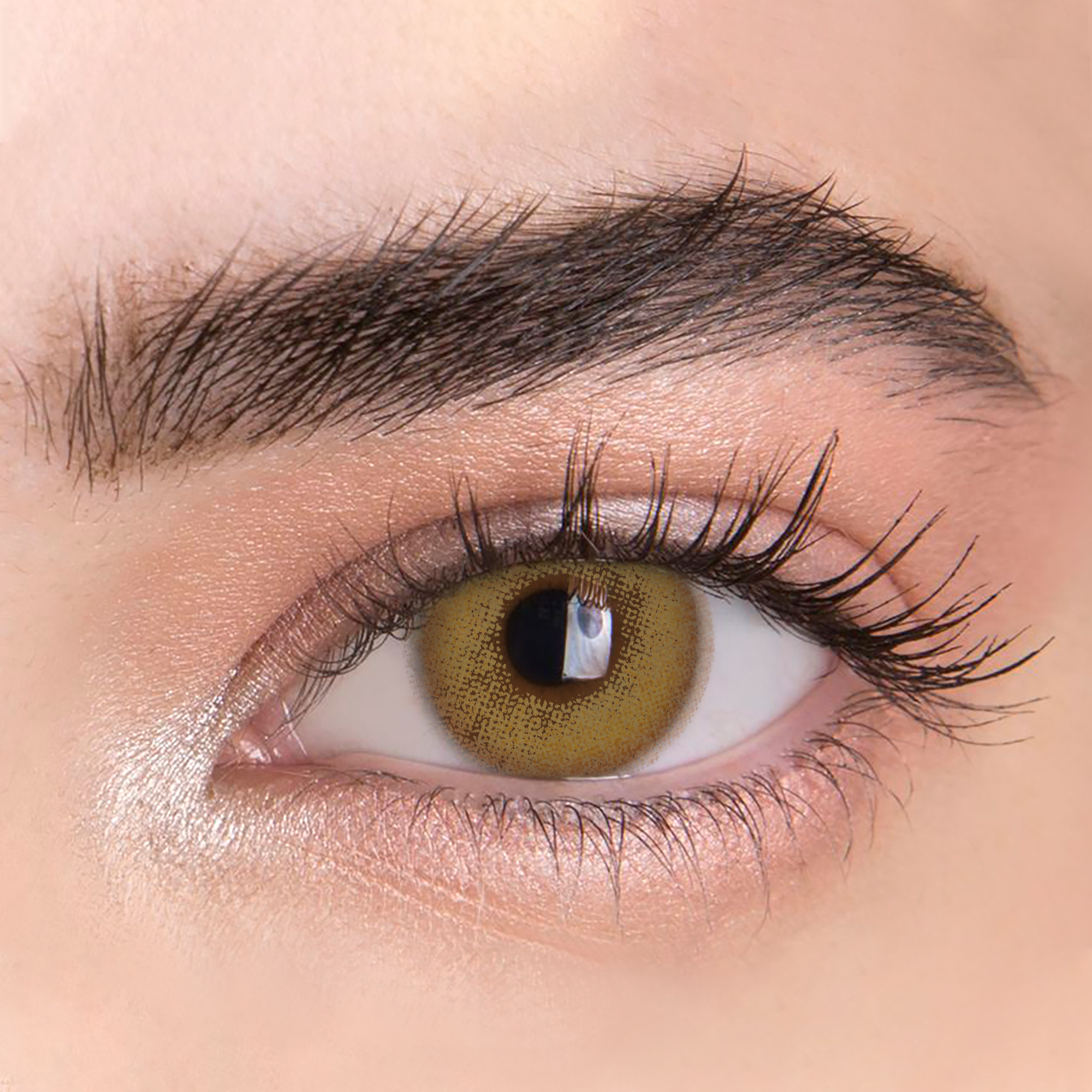 【Clearance】Mislens Queen Brown