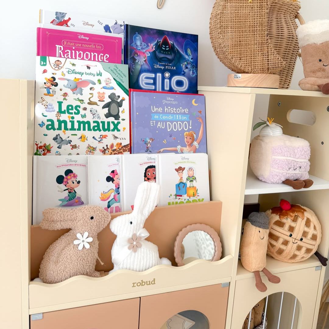 ROBUD Organizer per Riporre i Giocattoli